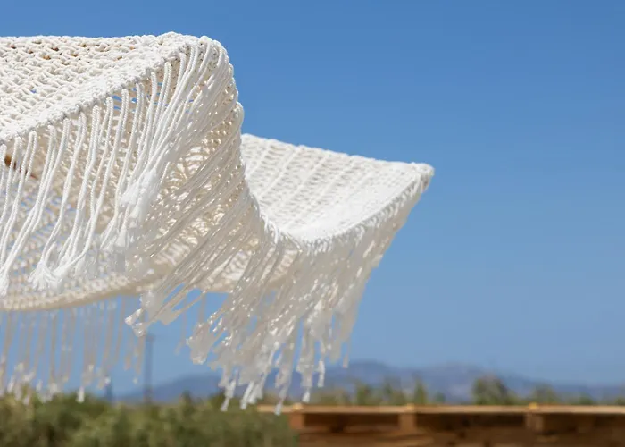 Calmare Collection Pláka