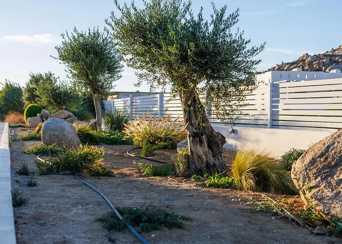 Calmare Collection Pláka